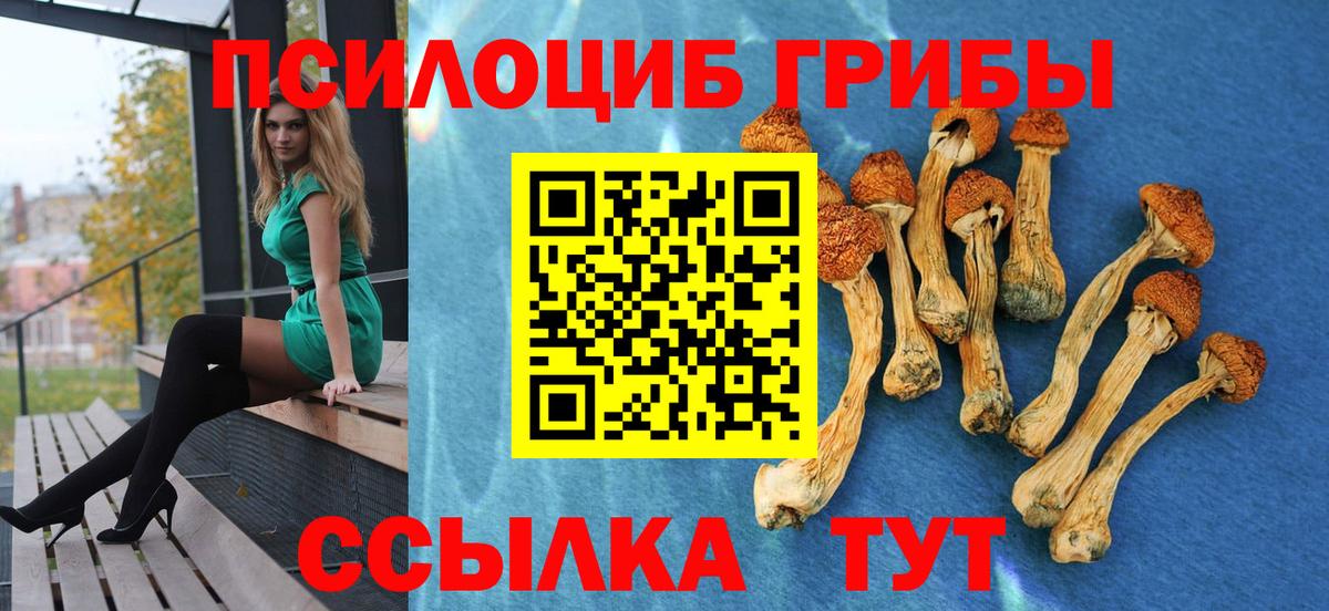 Лесозаводск  Галлюциногенные грибы мухоморы  Вход с VPN 